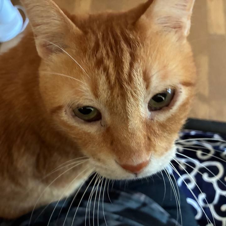 122ff417 3cf7 4e51 becf a07402fcc83d 1757581770007