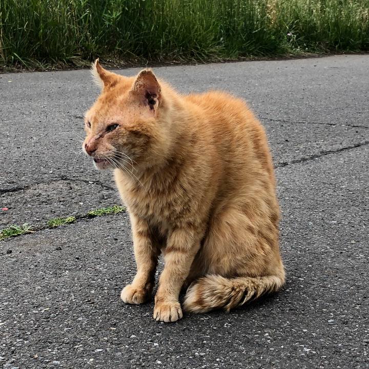 122ffb9c 7c06 4ccb 88f6 62530e40c2a5 1525953193321