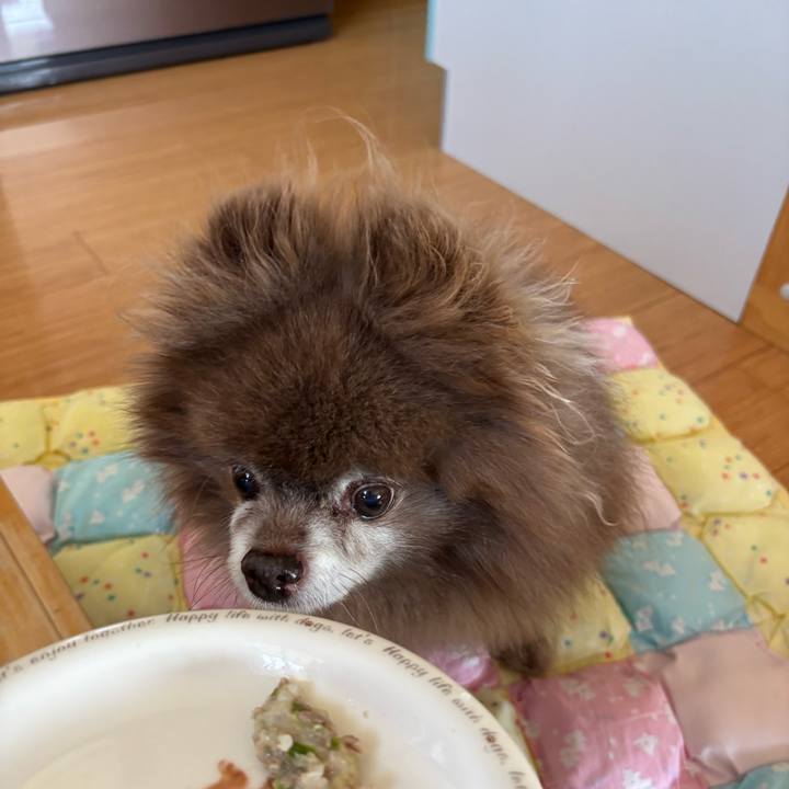 12306211 322a 4a8b 9c7c 71157c7ad8d5 1749422041759