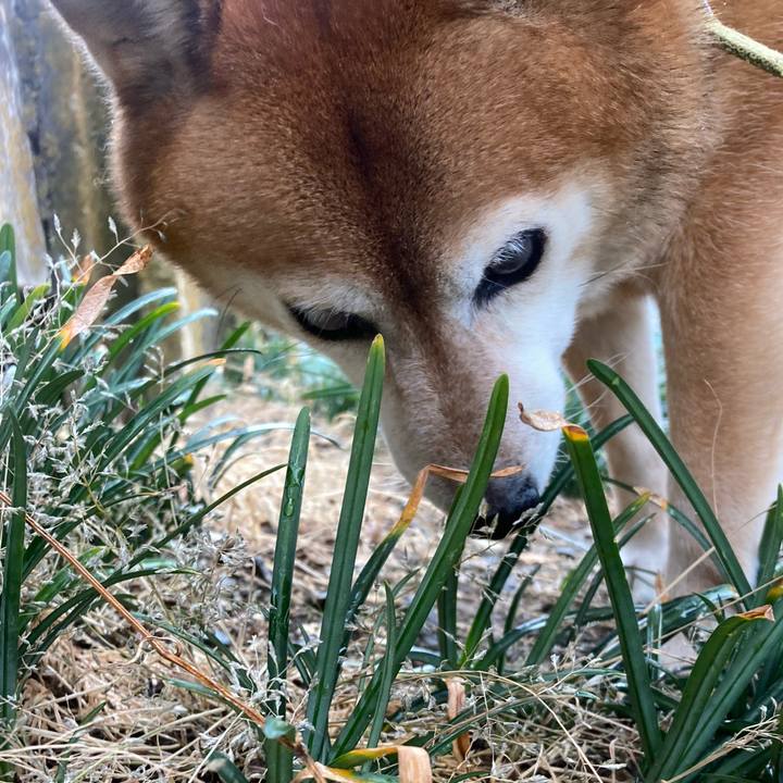 12306d9d 385e 4fd5 9907 66256dd6c5c0 1669424618842