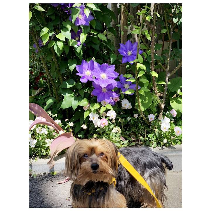 1230a784 0aef 4863 993d 8bc07c217b49 1557012297011