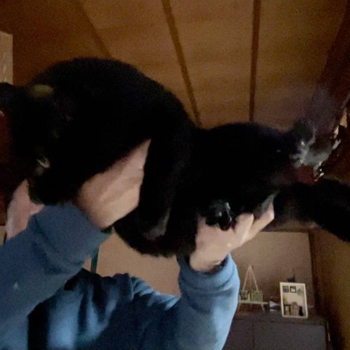 12313b18 4c8f 44f9 ba00 7a6307e8f6d6 1762239471785