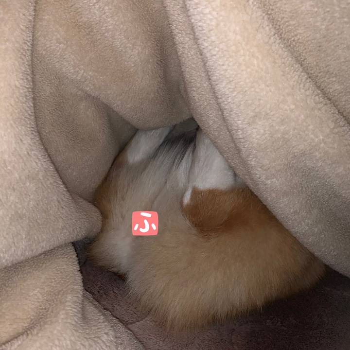 12315b6b ce83 4916 9623 b6f44a0b11c1 1609898008046