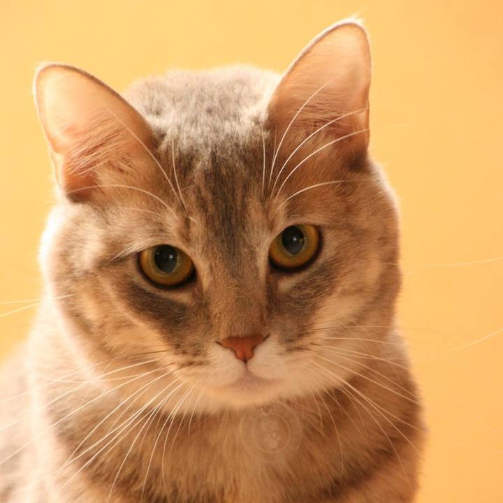 1231aba6 3646 4c34 8ed0 8823c2220f24 1509932538339