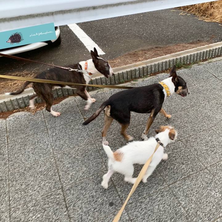 1231b804 939e 4888 83ef d508df78e78f 1566818911692