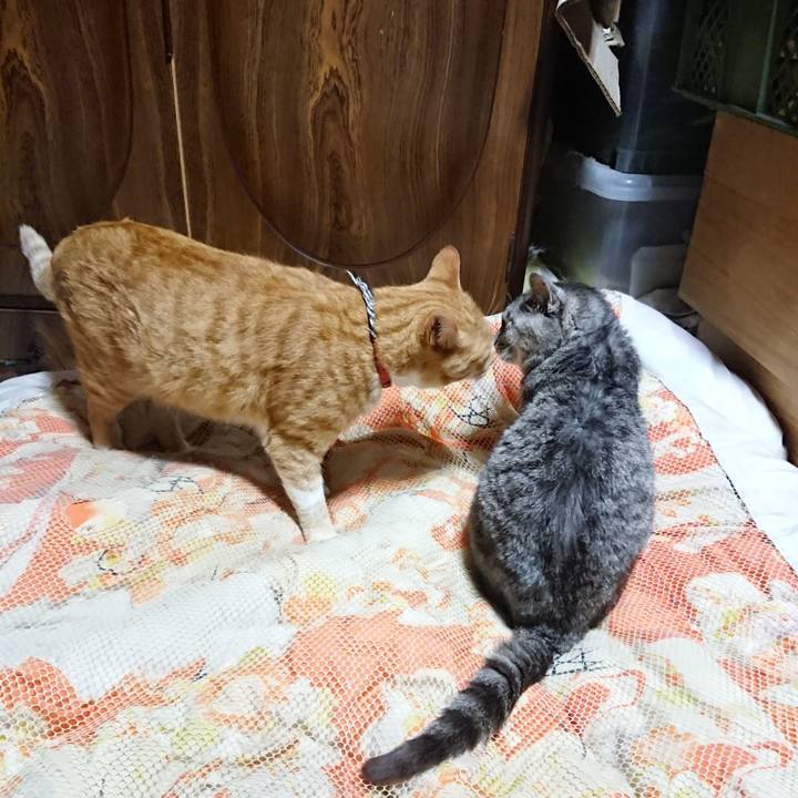 1231f567 83d2 434d 89b0 a0ec7d6e3c18 1572350009500