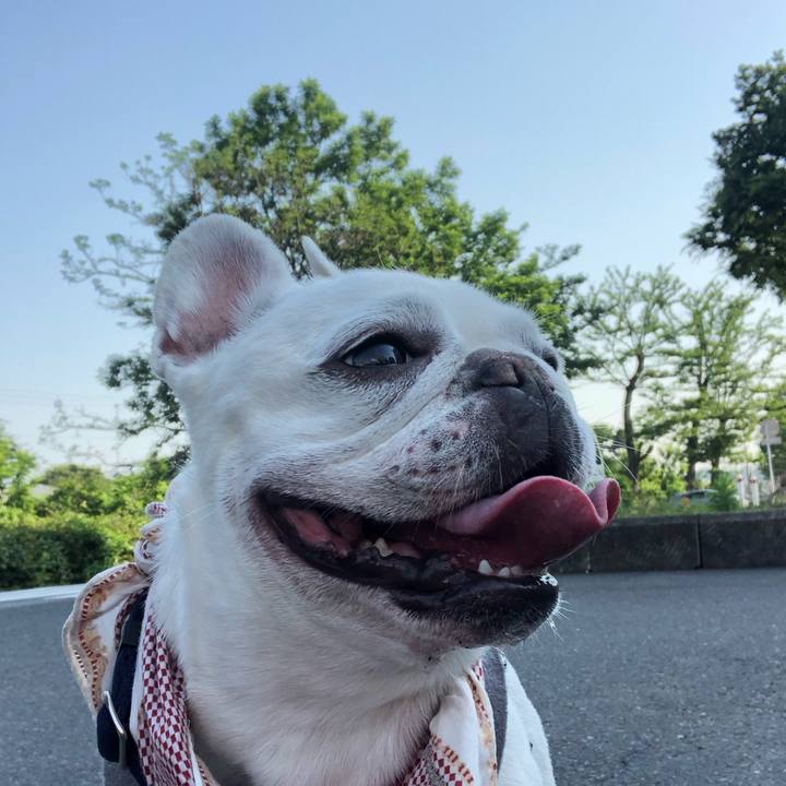 12320208 e236 4fac 8afc c8afc0a43e47 1623108987096