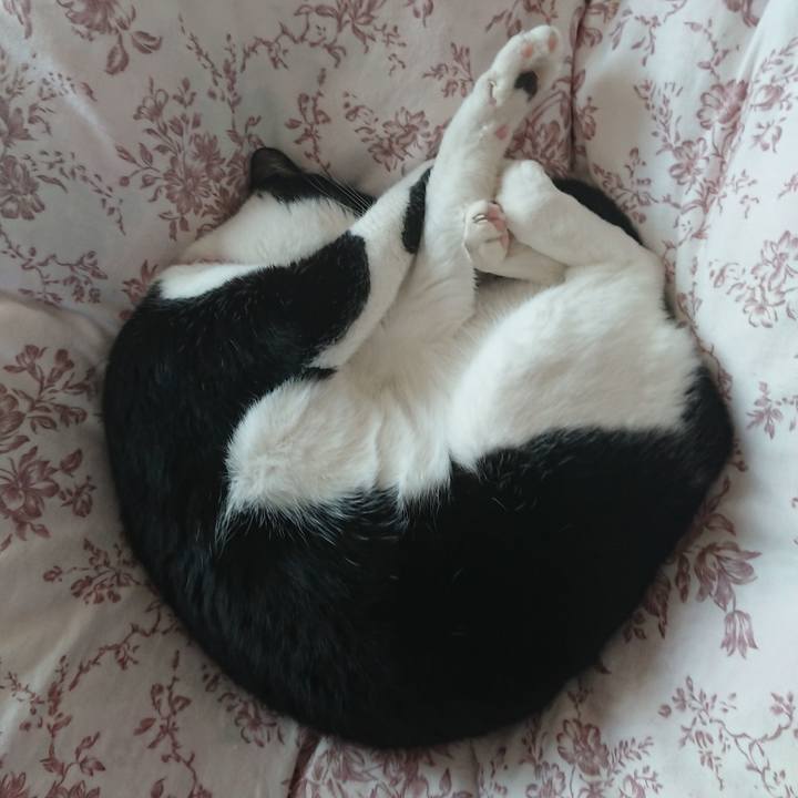 123219b1 8d2e 4f57 b4d8 b9664b1816ca 1647044899047