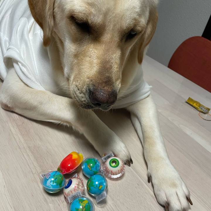 12323460 005a 4c1e a7af e9a7e51b516f 1663743948309