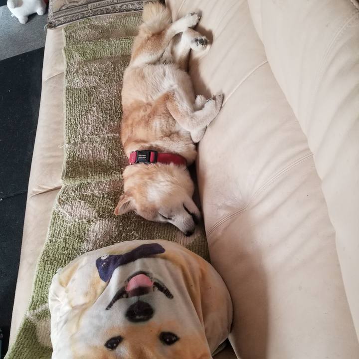 12323ed0 ce5a 47d0 9210 ef1a6a251640 1771545758707