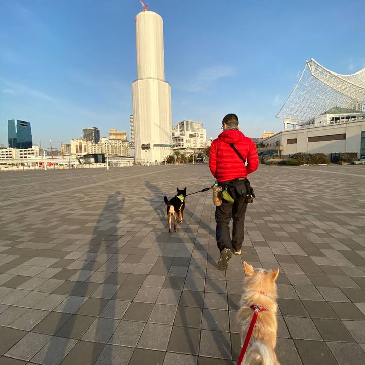 12325670 4e62 470b 8efa a7d67c19de36 1647493409753