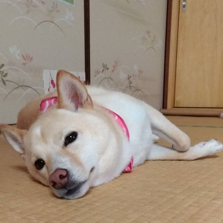 12325e4a 2b84 4fc1 b7ad 388b6ffb3624 1539602191846