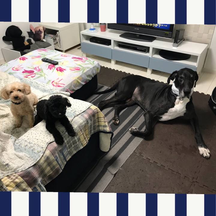 1232968e 97a9 4ec1 a7ac be947879445f 1532471705670