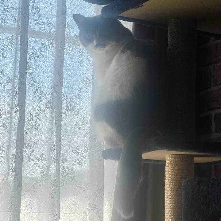 1232b07c c50d 4016 a753 53a37e88e5ed 1710121336454