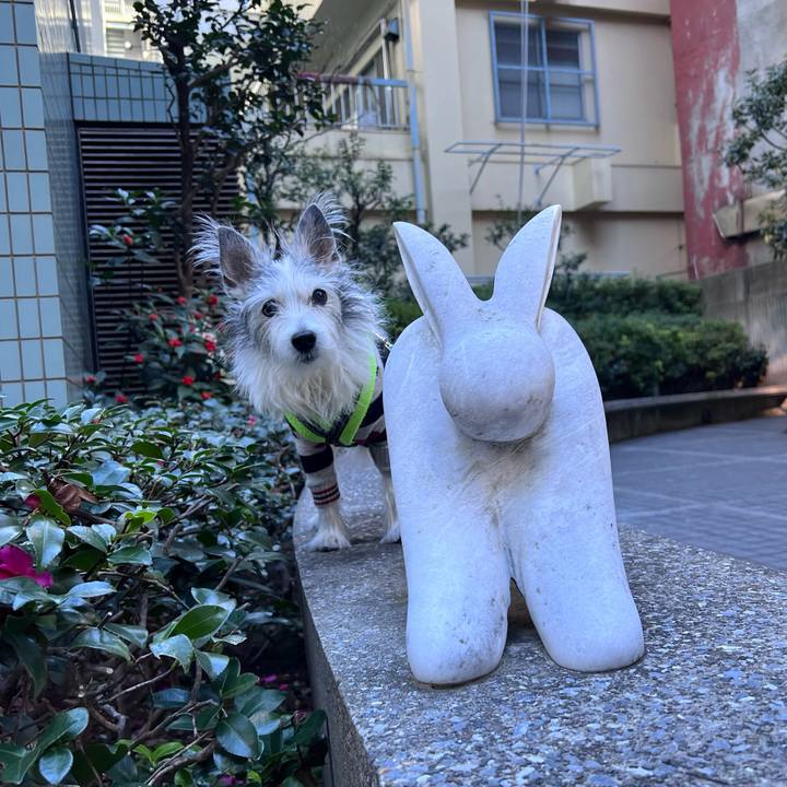 1232e059 33fe 457f ae86 01ca40a25408 1672890342566