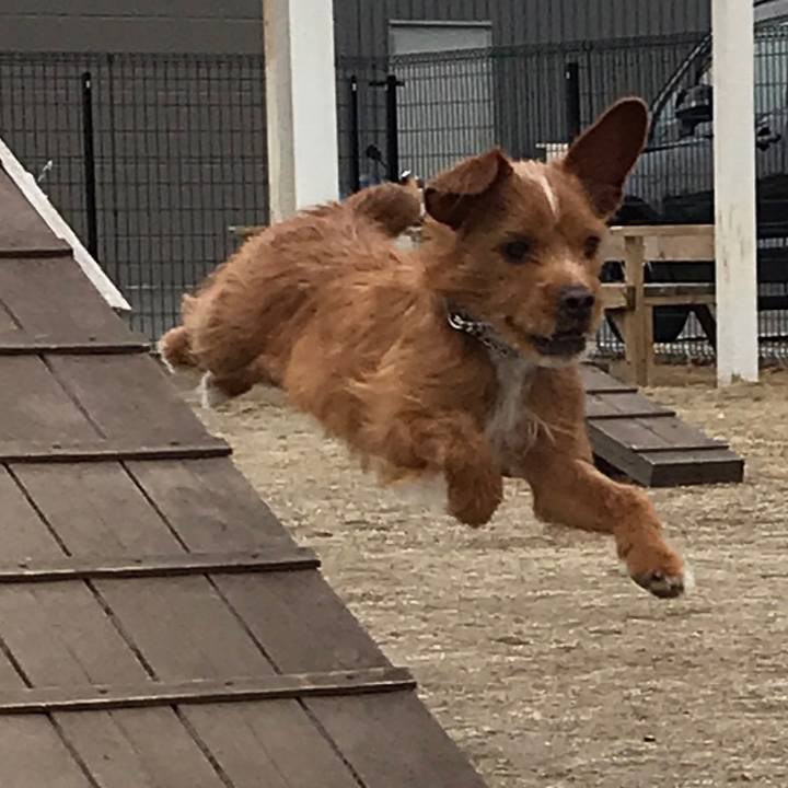 123304b7 4355 4695 a661 4aa6381b872e 1548029348725