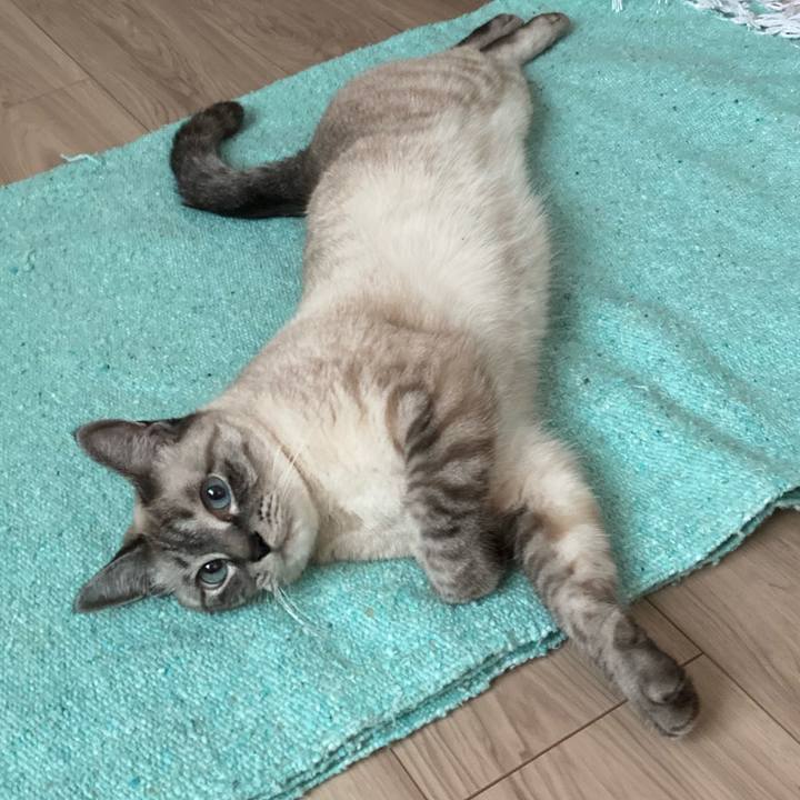 12333c8f 02e9 40f9 b049 19ca0978505a 1656892041904