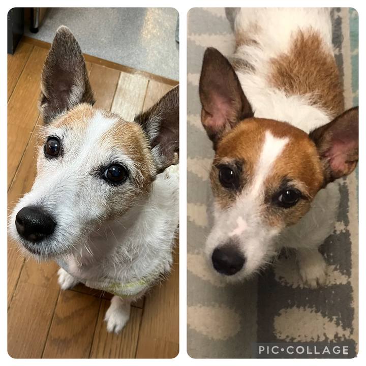 12333db5 7cde 4eb6 8af9 92458cb820a1 1736206856765