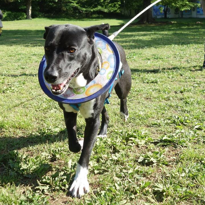 12336f4c 4008 4417 ab8c 409703763fe5 1619137424874