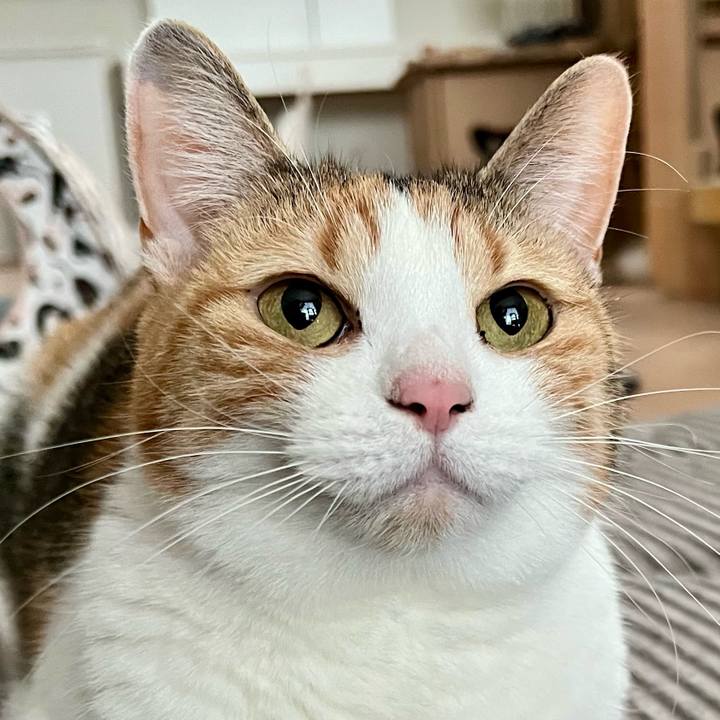 12338e73 e565 4197 b012 ca559b1e32b7 1769311941019