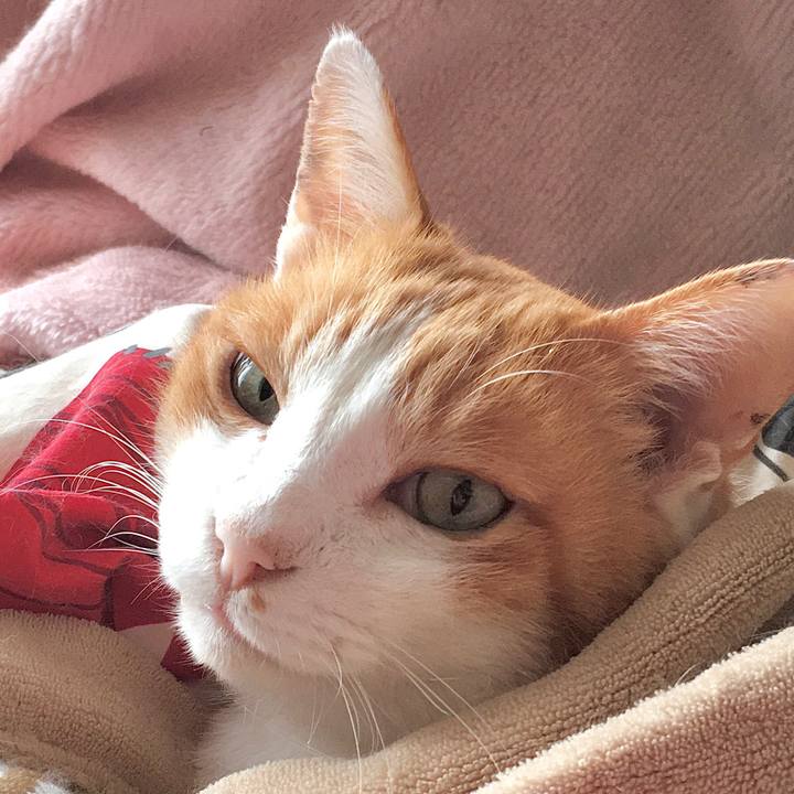 12339a19 7d06 4d5b 9468 f962140c393c 1577500906830