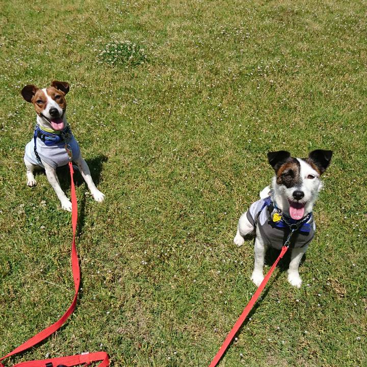 1233ff3e 2153 4a69 9ff8 b1392d540ab7 1558747330111