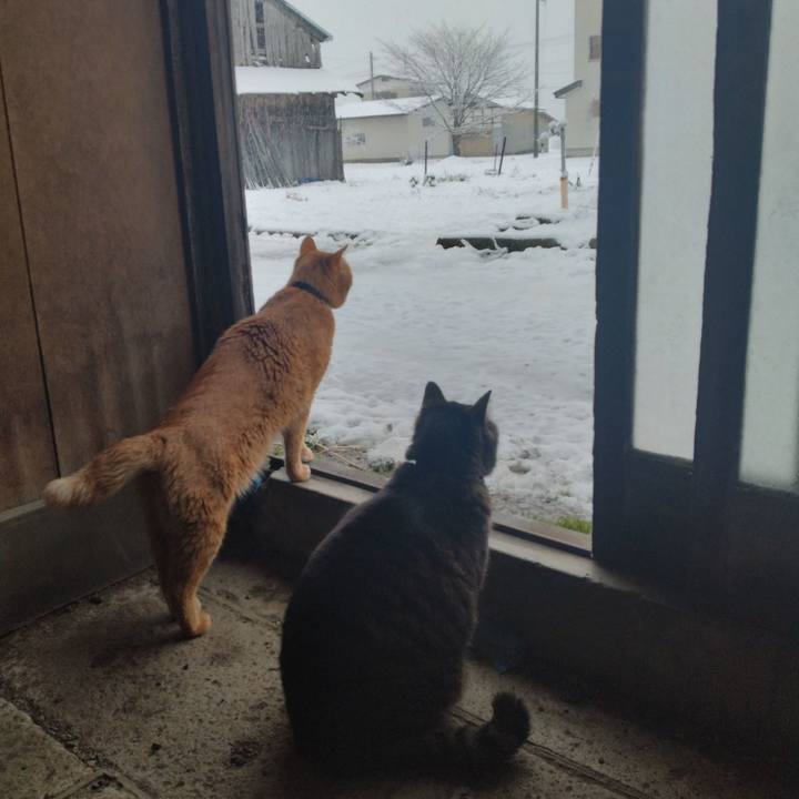 1233ff51 769a 4d89 85e2 e587b93d25fa 1711441345169