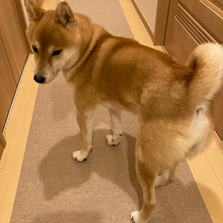 12340988 7436 4596 9248 03526bb8d05f 1671269457557