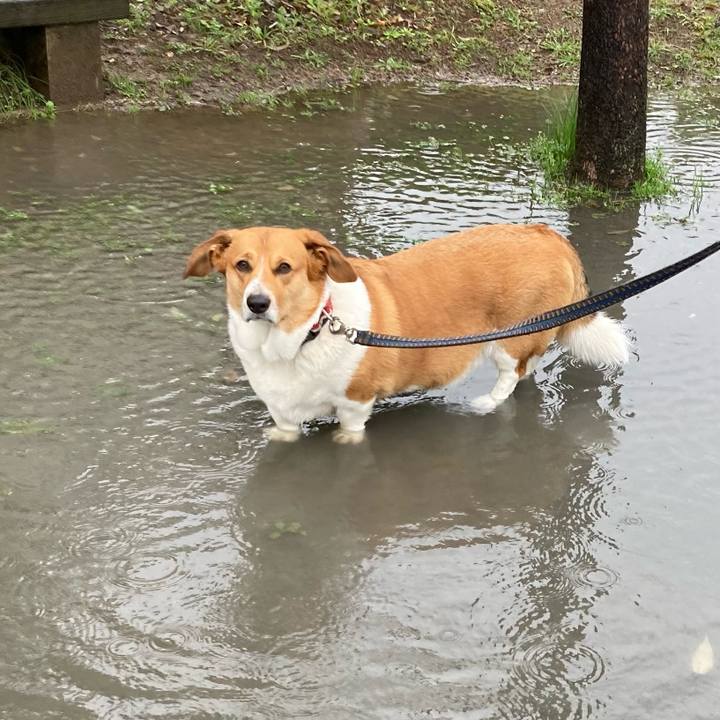 12341f6b b278 48a6 8f7b 9305bbff25cd 1679971089932