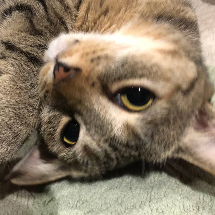 123423f8 6b72 4e68 a396 7f0c283c4cac 1631970190437