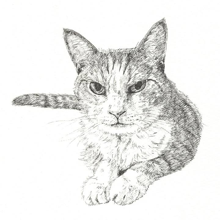 123432c7 38c8 4cbe bd43 4751e519164e 1570024917850