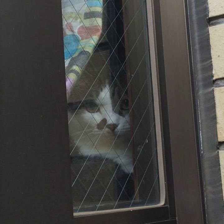 12346ac3 04d0 4a2a 8e72 41611911969d 1657061300171