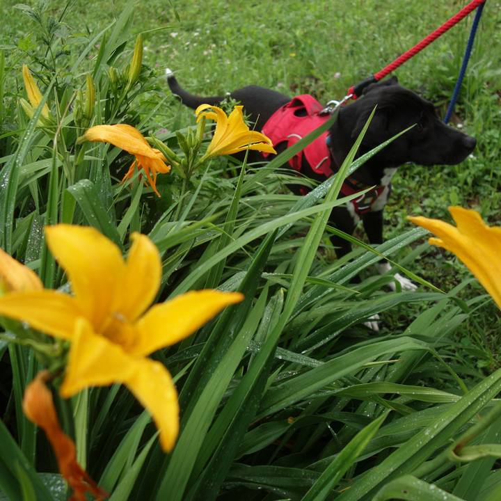 1234815c 1180 497c a5d9 74ccbbee491a 1589863421787