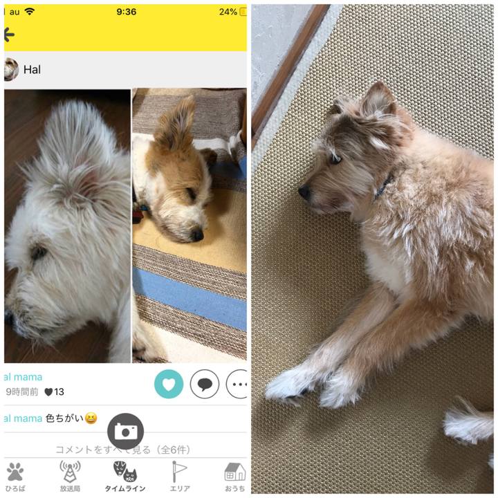 1234aa64 7d5a 44ce ad44 313ef5272ee3 1534034563414