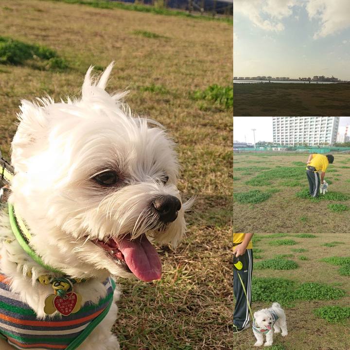 1234fa0e b9a9 4974 80a3 fbc699851087 1603541227494