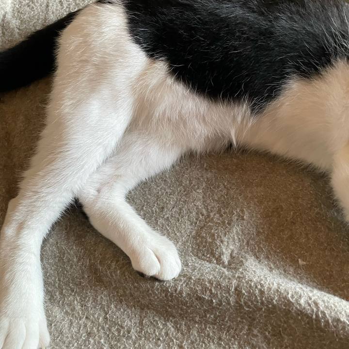 123507d6 8923 4d14 84af aa4c6d1365b9 1687034377683