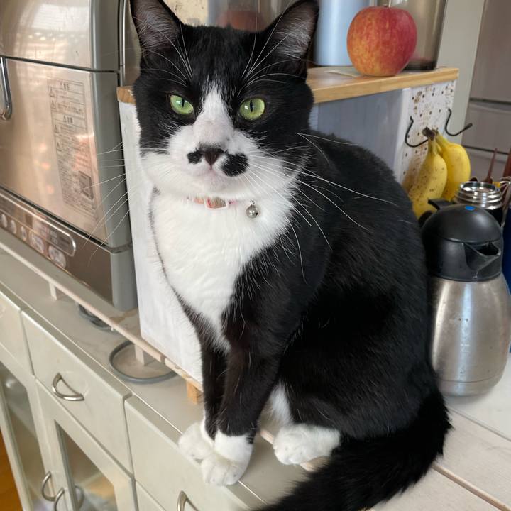 12351afd 530f 420b 8961 1f782a187f94 1664669886056