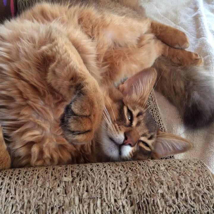 12352ac8 5f4f 4b57 9a1a 0b0c48737503 1583052679880