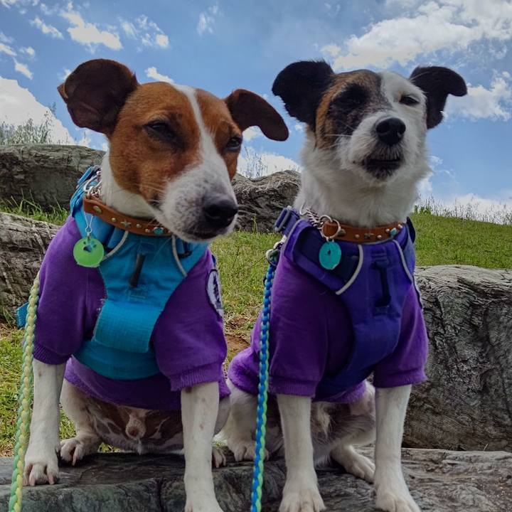 12357fab 1539 4f92 abc5 056f07252897 1620014059130