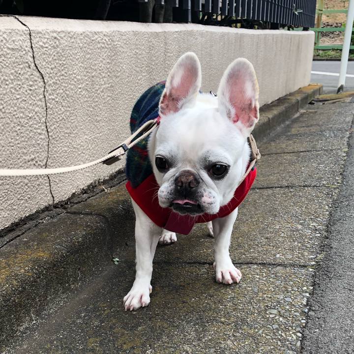 12357fc9 f674 4355 a56f 219f346af822 1577701400923