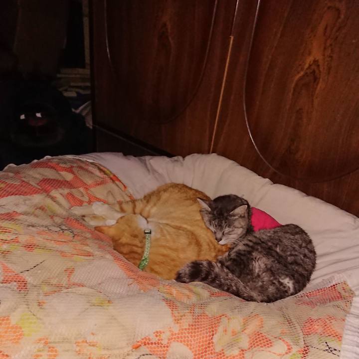 12358421 ffa2 4ef2 8e68 4d4d9adb2d25 1586621144098