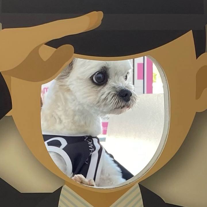 12358cf7 cff3 496b 9d3f e748804d1819 1634049701966