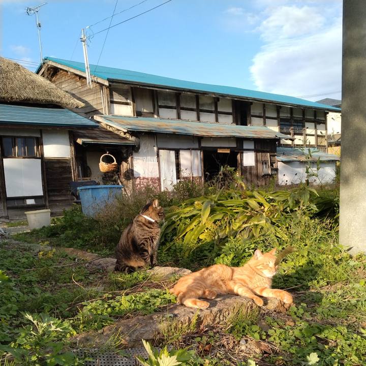 1235a84d 7e75 4c45 a6df 95125f16b84c 1666075780903