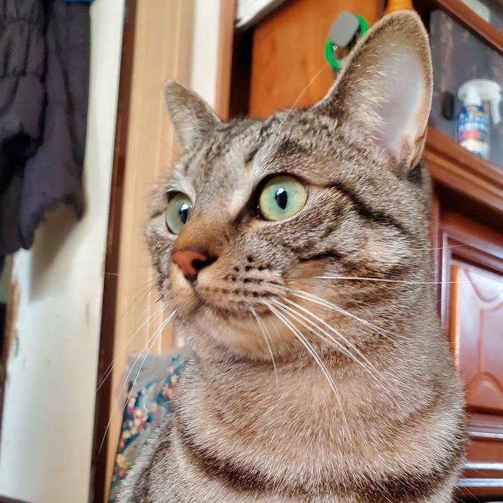 1235b237 bae9 4e1c 9da6 d3302ad0f59d 1702010846098