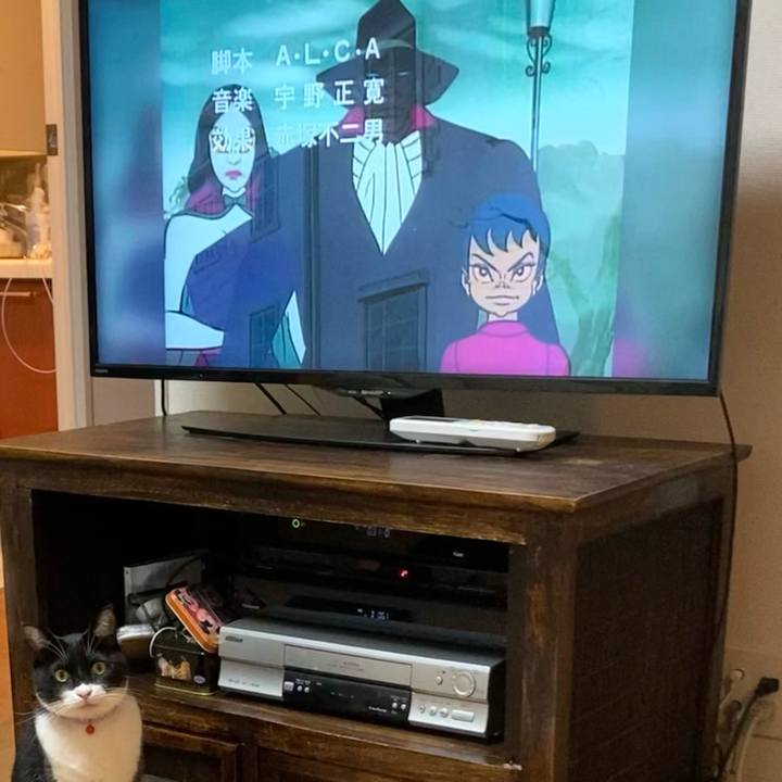 1235e14c f0d4 4583 b51e acf68c488686 1644760950025