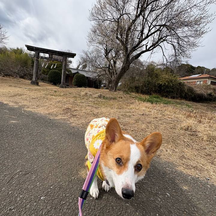 1235ef7d 6c88 4f70 8568 a1c52d508d10 1769671161675