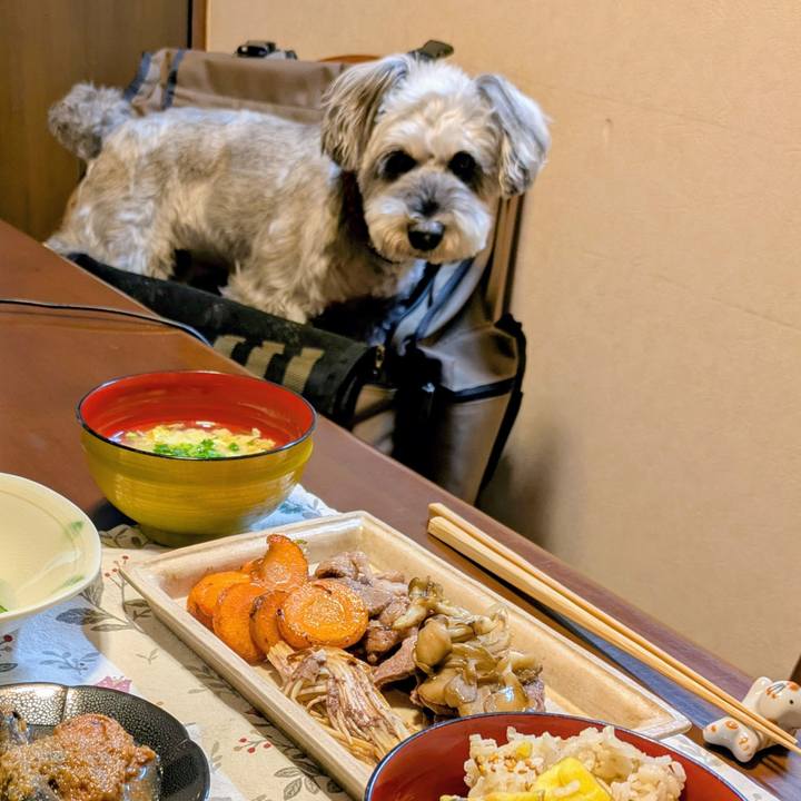 1236342d 04fc 4648 beff e4aa849adb82 1760877564915