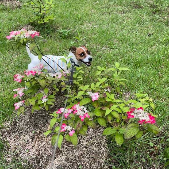 1236355a c7ea 4547 9b78 40f06abad286 1625731522134