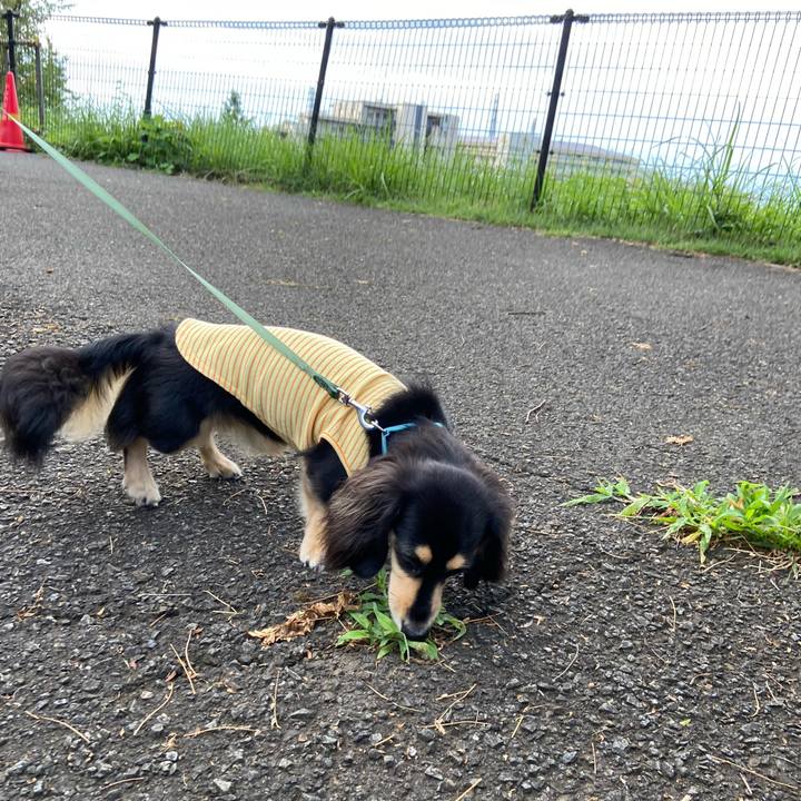 12364c90 d246 43a4 83c5 6dc481be236d 1694037584791