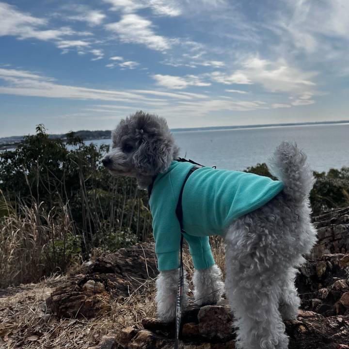 12366dda 033f 473f aece 77bc3b20880a 1773996963443